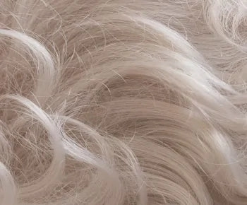Kyu wig - Sentoo Premium Collection