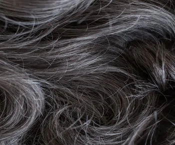 Kyu wig - Sentoo Premium Collection