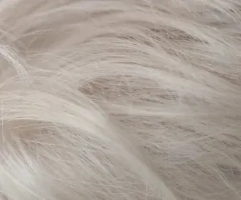 Lily wig - Sentoo Lotus Collection
