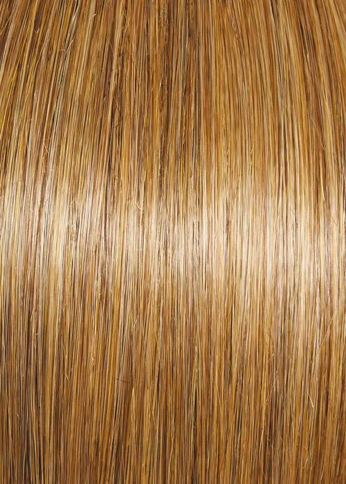 Magnetic Appeal Wig by Gabor | Heat Friendly Synthetic Hair | Average Cap
