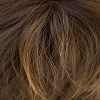 Mason wig - Noriko