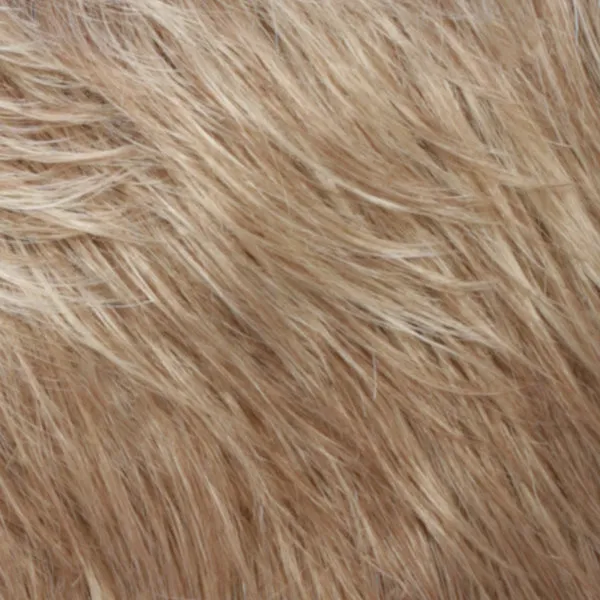 Maxx Wig by Estetica | Synthetic Hair | Average Cap