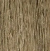 New Princess Lace wig - Gisela Mayer
