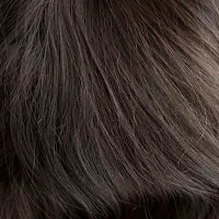 Pearl Human Hair wig - Gem Collection