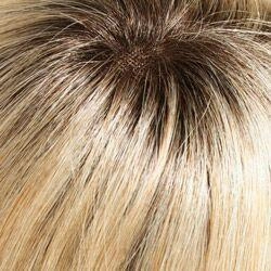 Petite Blake (Renau Colors) Wig by Jon Renau | Remy Human Hair (Lace Front Hand Tied Mono Top)