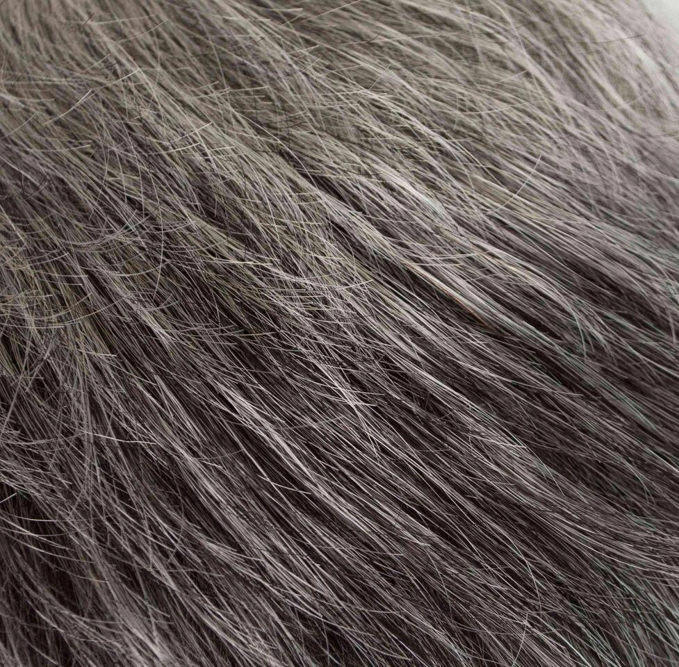 Pixie Wig by Tony of Beverly | Synthetic Wig (Traditional Cap)