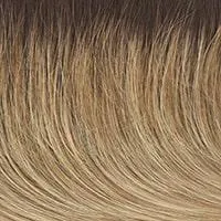 Pretty Please wig - Raquel Welch