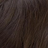 Remy 14" Human Hair Top Piece - Amore Rene of Paris