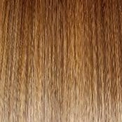 Sheer Elegance Wig by Gabor | Synthetic (Lace Front Traditional Cap)