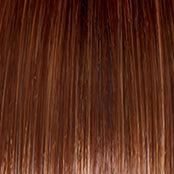 Sheer Elegance Wig by Gabor | Synthetic (Lace Front Traditional Cap)
