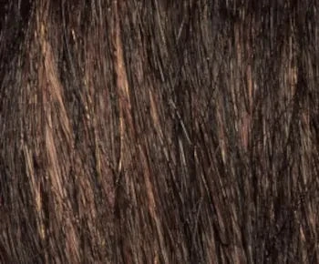 Taylor wig - Envy Collection