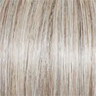 Upstage Petite wig - Raquel Welch