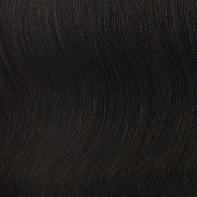 Winner Large wig - Raquel Welch