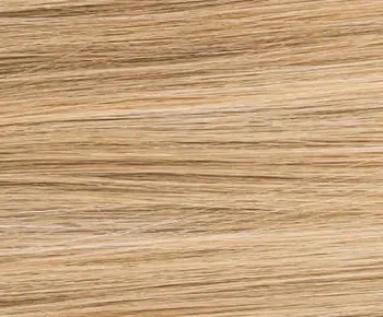 Xenita Human Hair wig - Ellen Wille Perucci Collection