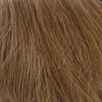 Zeal wig - Noriko